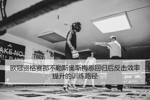 ou-guan-zi-ge-sai-na-bu-le-si-ao-si-mei-en-hui-gui-hou-fan-ji-xiao-lv-ti-sheng-de-xun-lian-lu-jing-2-162.jpg